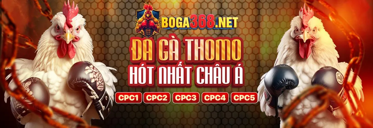 Ưu Đãi Đăng Ký Mới tại gà cam 67 trực tiếp