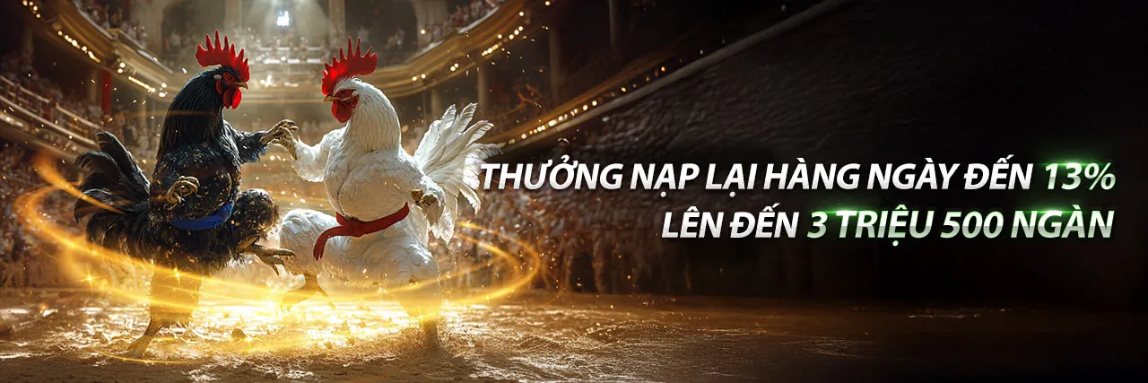 Tin tức mới nhất về gà cam 67 trực tiếp