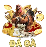 Khuyến mãi và ưu đãi độc quyền